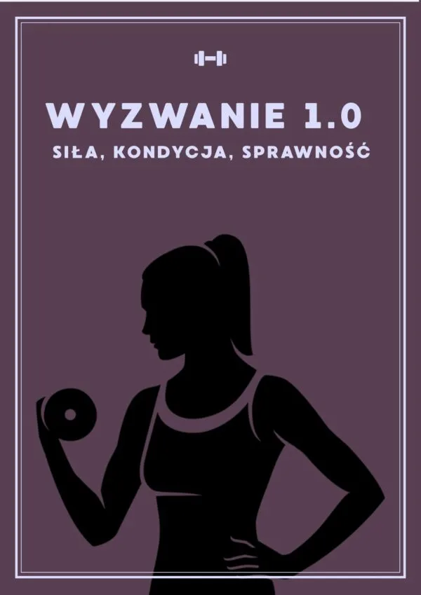 Wyzwanie 1.0
